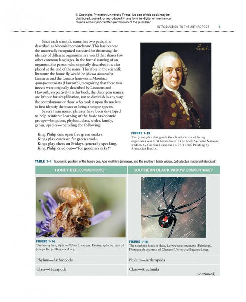 Bugs Rule! An Introduction to the World of Insects - Cranshaw,W. & Redak,R. 2013