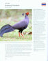 National Birds of the World - Toft, R. 2014