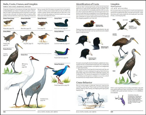 North American Bird Guide, 2nd ed. - Sibley, D. 2014