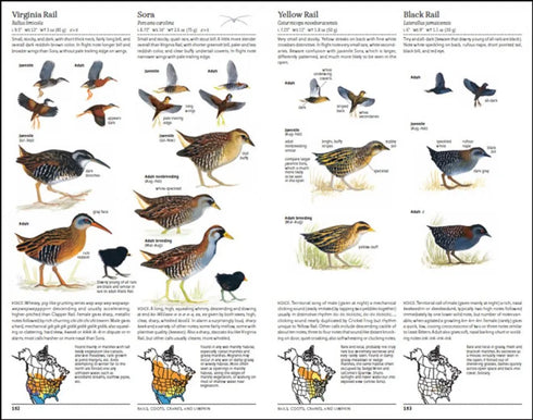 North American Bird Guide, 2nd ed. - Sibley, D. 2014