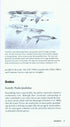 Field Guide to Birds of the Northern California Coast - Stallcup,R. 2014