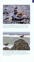 Field Guide to Birds of the Northern California Coast - Stallcup,R. 2014