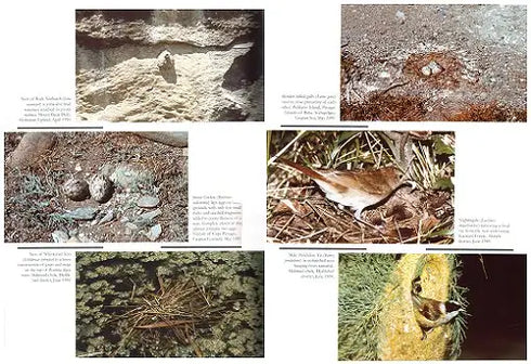 Birds of Azerbaijan (Patrikeev) 2004