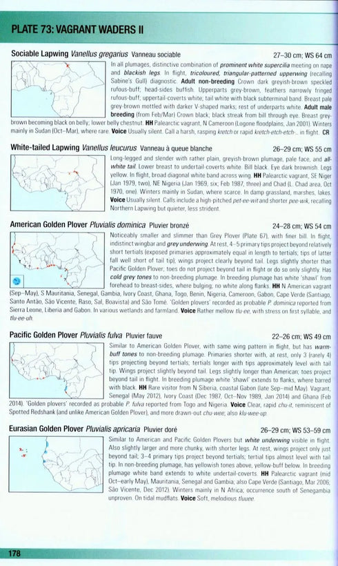 Birds of Western Africa 2. Ed -Borrow, N. & Demey, R. 2014