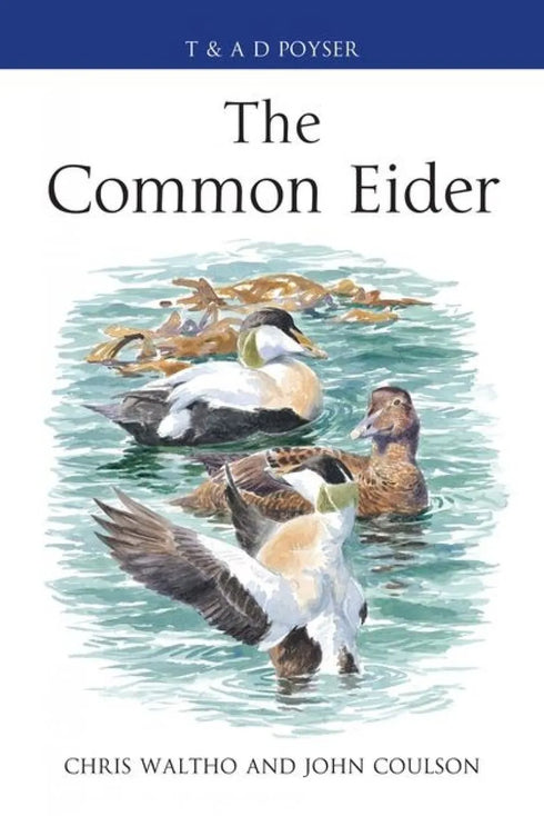 The Common Eider - Waltho 2015