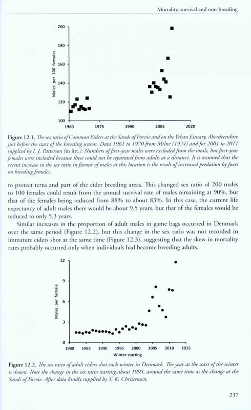 The Common Eider - Waltho 2015