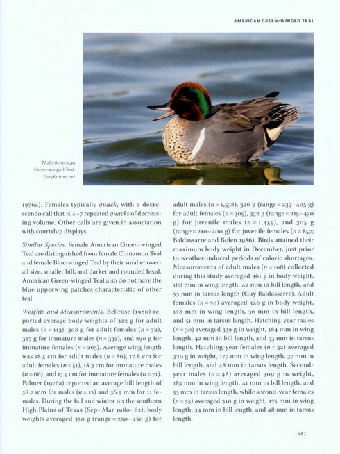 Ducks, Geese and Swans of North America, (2-Volume Set) - Baldassarre, G. 2014