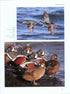 Ducks, Geese and Swans of North America, (2-Volume Set) - Baldassarre, G. 2014