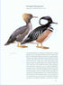 Ducks, Geese and Swans of North America, (2-Volume Set) - Baldassarre, G. 2014