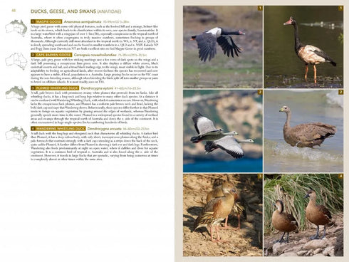 Birds of Australia, A photographic guide - Campbell, S. 2014
