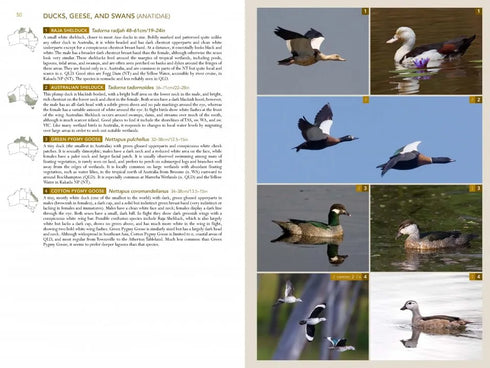 Birds of Australia, A photographic guide - Campbell, S. 2014