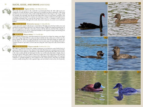 Birds of Australia, A photographic guide - Campbell, S. 2014