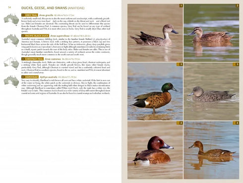 Birds of Australia, A photographic guide - Campbell, S. 2014