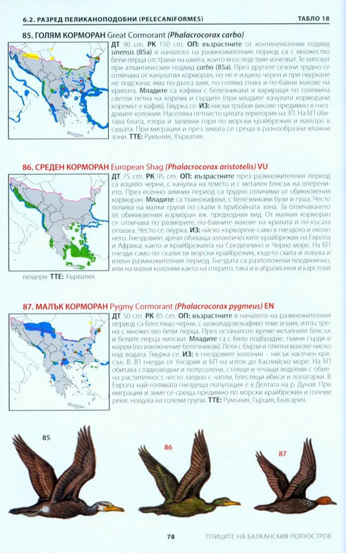 Photographic Guide to the Birds of India - Grewal, ym 2002