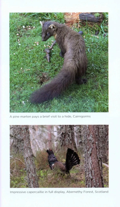 Few and Far Between on the Trail of Britain’s Rarest Animals - Charlie,E. 2016