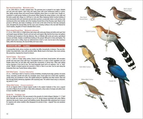 Field Guide to the Birds of Mach Picchu and the Cusco Region, Peru: Includes a Bird Finding Guide to the Area- Walker, B. 2015