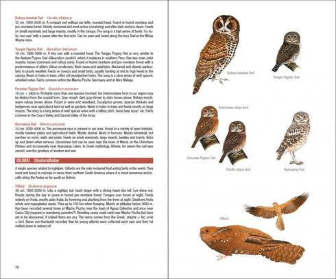 Field Guide to the Birds of Mach Picchu and the Cusco Region, Peru: Includes a Bird Finding Guide to the Area- Walker, B. 2015