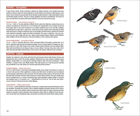 Field Guide to the Birds of Mach Picchu and the Cusco Region, Peru: Includes a Bird Finding Guide to the Area- Walker, B. 2015