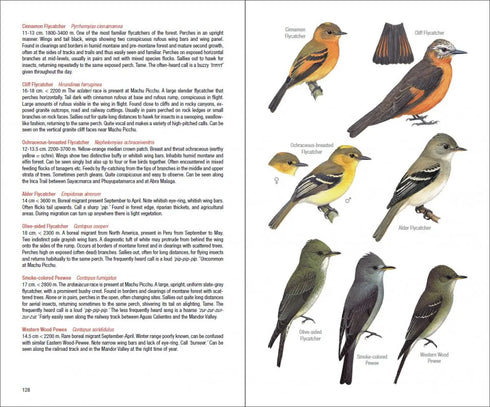 Field Guide to the Birds of Mach Picchu and the Cusco Region, Peru: Includes a Bird Finding Guide to the Area- Walker, B. 2015