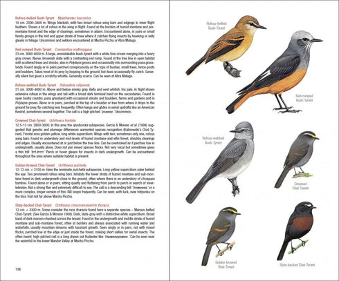 Field Guide to the Birds of Mach Picchu and the Cusco Region, Peru: Includes a Bird Finding Guide to the Area- Walker, B. 2015