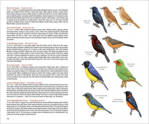 Field Guide to the Birds of Mach Picchu and the Cusco Region, Peru: Includes a Bird Finding Guide to the Area- Walker, B. 2015