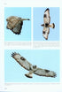 Flight Identification of Raptors of Europe, Middle East and North Africa - Forsman D. 2016