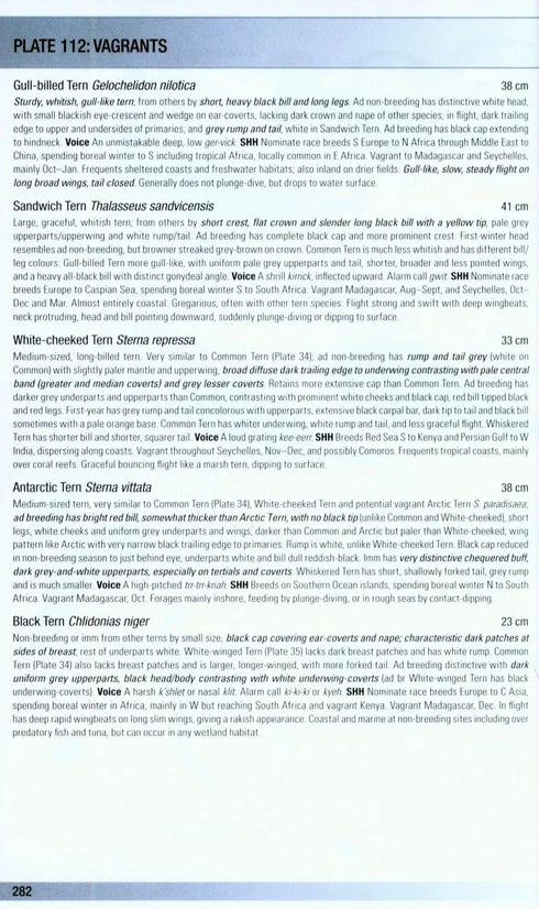 Birds of Madagascar and Indian Ocean Islands - Hawkins, F. ym. 2015