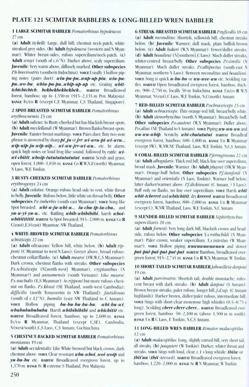 Birds of South East Asia - Robson 2015 Concise Edition