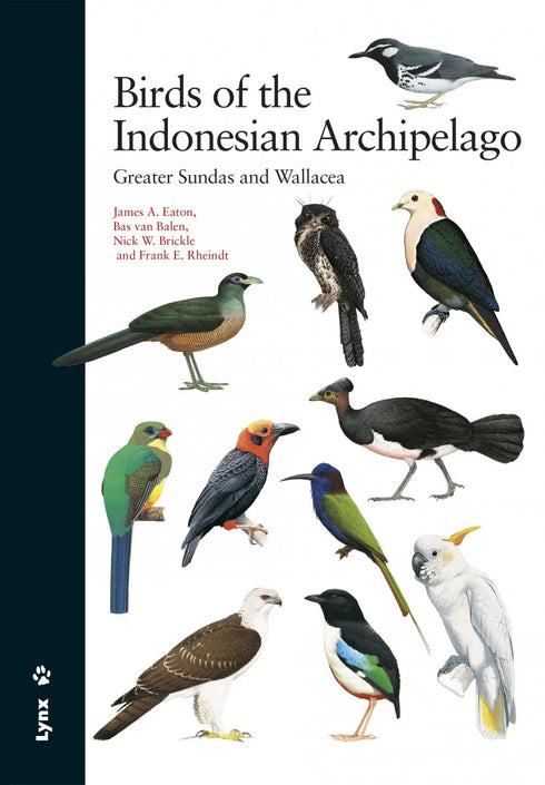 Birds of Indonesian Archipelago - Eaton, J. 2016, kovakantinen