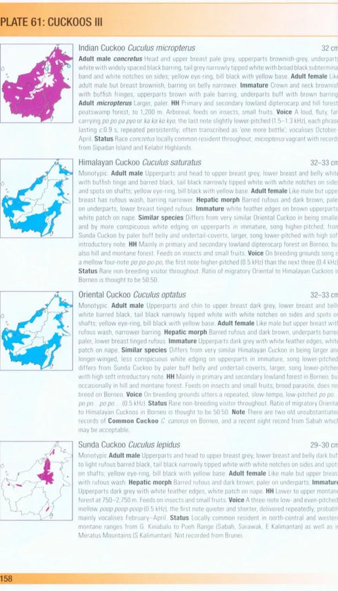 Birds of Borneo, second edition, Myers (2016)