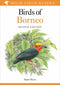 Birds of Borneo, second edition, Myers (2016)