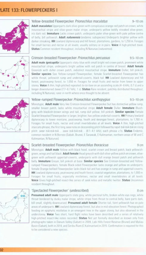 Birds of Borneo, second edition, Myers (2016)