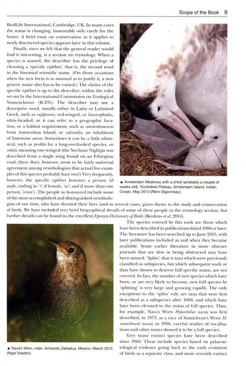 Birds New to Science - Fifty years of Avian Discoveries (Brewer)