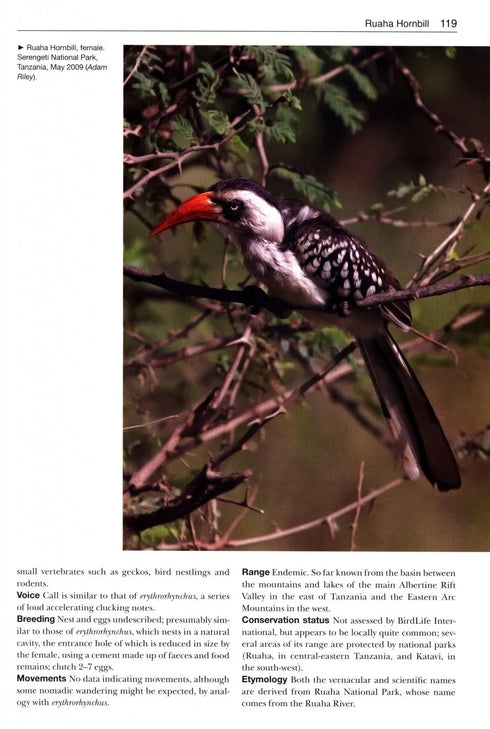 Birds New to Science - Fifty years of Avian Discoveries (Brewer)
