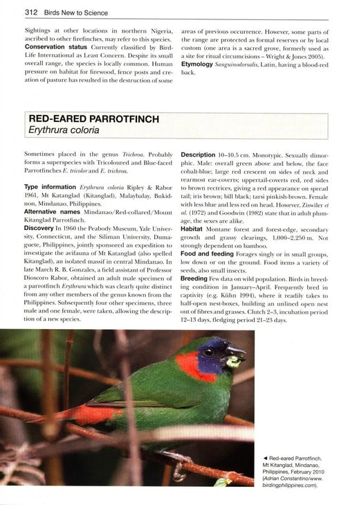 Birds New to Science - Fifty years of Avian Discoveries (Brewer)