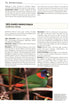 Birds New to Science - Fifty years of Avian Discoveries (Brewer)