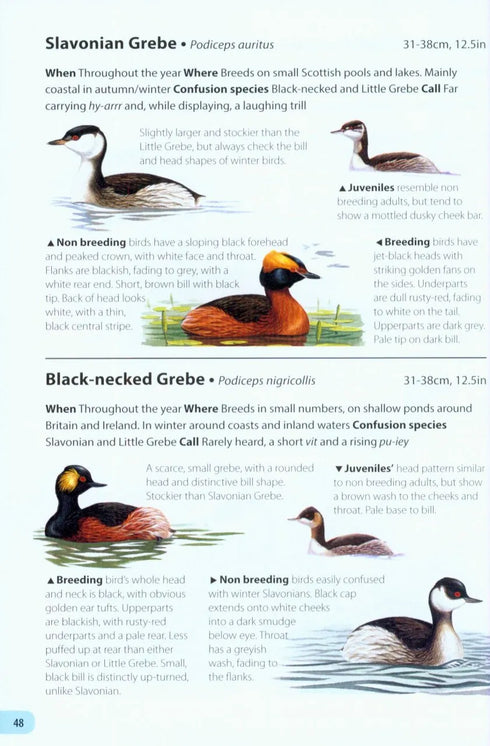 Field Guide to the Birds of Britain and Ireland - Mark Golley 2016