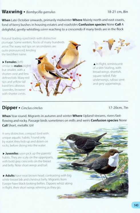 Field Guide to the Birds of Britain and Ireland - Mark Golley 2016