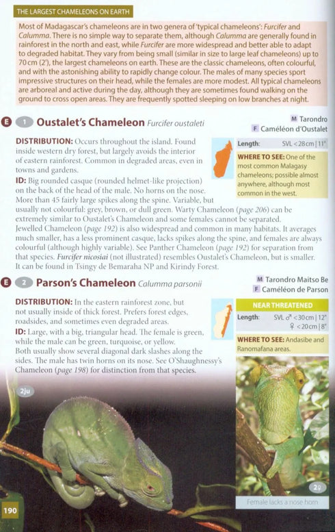 Wildlife of Madagascar, Behrens (2016)