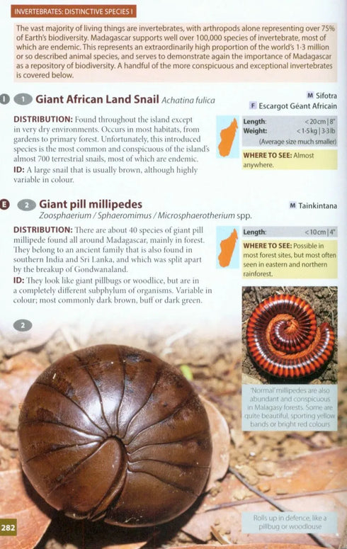 Wildlife of Madagascar, Behrens (2016)