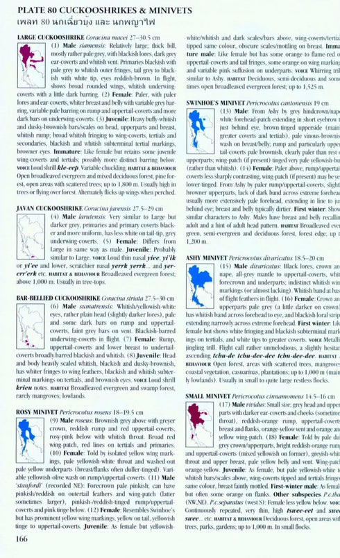 A Field Guide to the Birds of Thailand, Robson, C. 2016