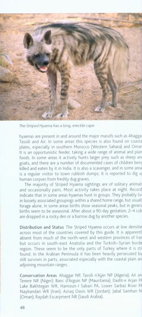 Mammals of North African and the Middle East - Pocket Photo Guide -Chris Stuart 2016