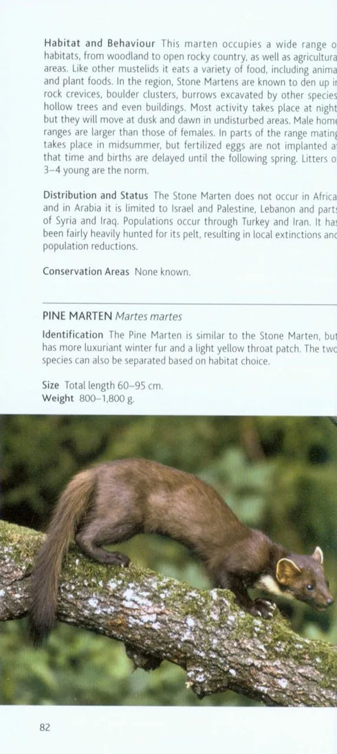 Mammals of North African and the Middle East - Pocket Photo Guide -Chris Stuart 2016
