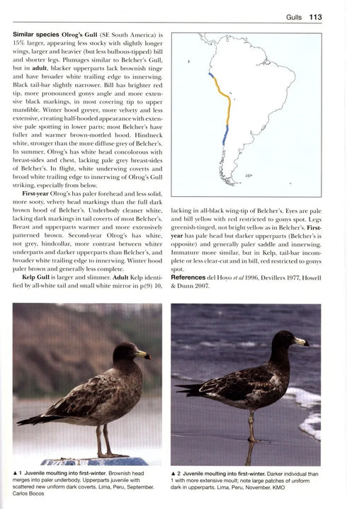 Gulls of the World, Klaus Malling Olsen. A Photographic Guide