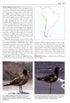 Gulls of the World, Klaus Malling Olsen. A Photographic Guide