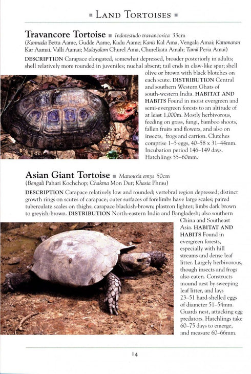 Naturalist’s Guide to the Reptails of India, Bangladesh, Bhutan, Nepal, Pakistan and Sri Lanka (Das) 2017