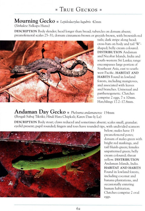Naturalist’s Guide to the Reptails of India, Bangladesh, Bhutan, Nepal, Pakistan and Sri Lanka (Das) 2017