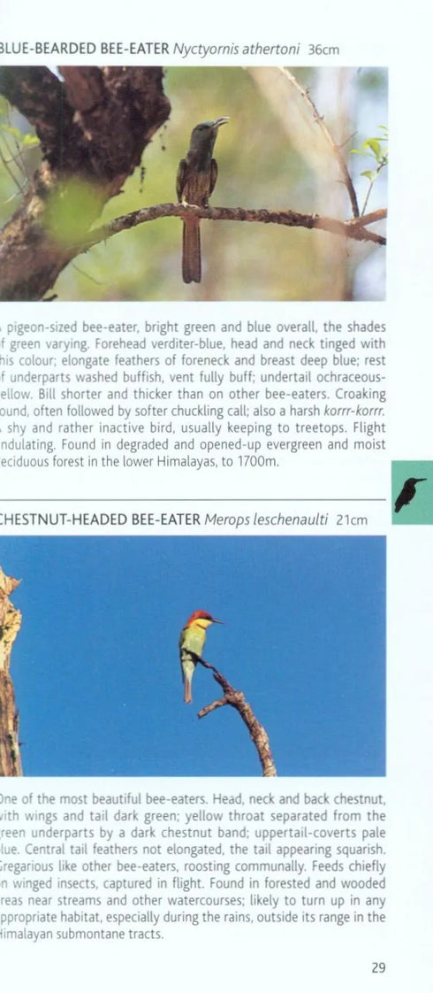 Birds of the Himalayas - Pocket Photo Guide (Grewal) 2017