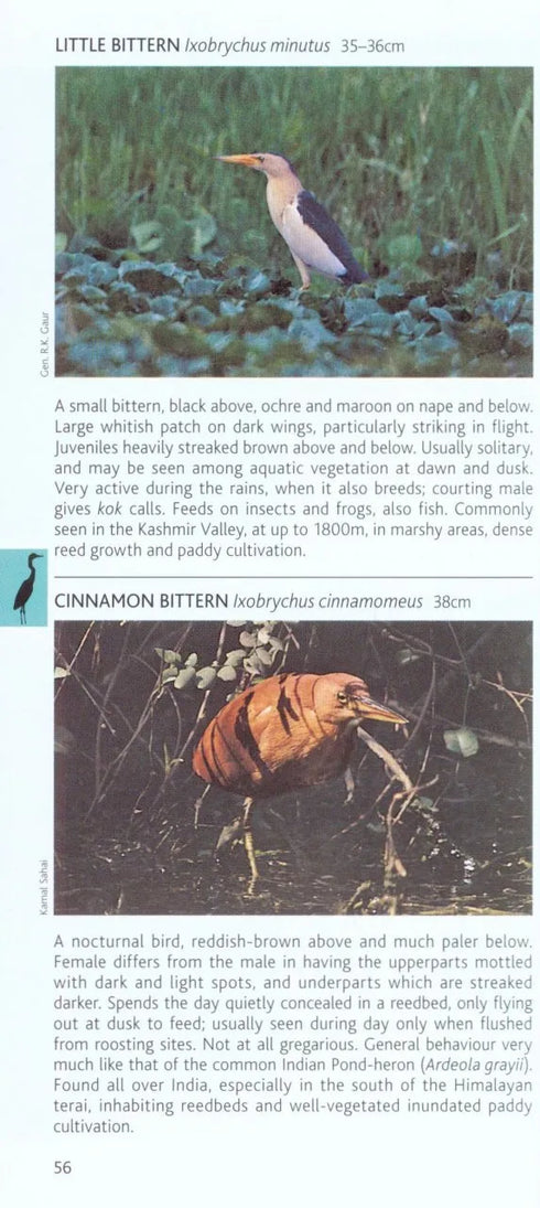 Birds of the Himalayas - Pocket Photo Guide (Grewal) 2017