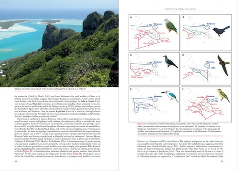 Birds of Eastern Polynesia A Biogeographic Atlas - Jean-Claude Thibault 2017
